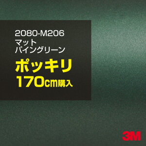 3M J[bsOtB  bsOV[g 2080-M206 }bgpCO[^bN yW1524mm×170cmz 2080M206 iԁF1080-M206 }bg Ȃ Ȃ  J[bvtB DIY O 