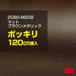 3M J[bsOtB  bsOV[g 2080-M209 }bguE^bN yW1524mm×120cmz 2080M209 iԁF1080-M209 }bg Ȃ Ȃ F uE J[bvtB DIY O
