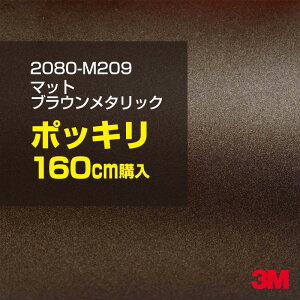 3M J[bsOtB  bsOV[g 2080-M209 }bguE^bN yW1524mm×160cmz 2080M209 iԁF1080-M209 }bg Ȃ Ȃ F uE J[bvtB DIY O