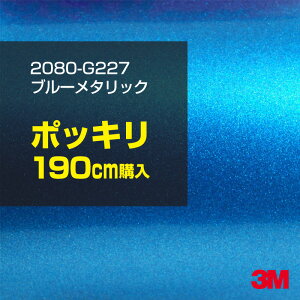 3M J[bsOtB  bsOV[g 2080-G227 u[^bN yW1524mm×190cmz 2080G227 iԁF1080-G227 OX 򂠂  یtB  J[bvtB DIY O  