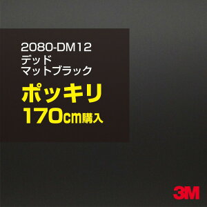 3M J[bsOtB  bsOV[g 2080-DM12 fbh}bgubN yW1524mm×170cmz 2080DM12 iԁF1080-DM12 }bg Ȃ Ȃ  J[bvtB DIY O  {lb