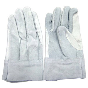 FUJITE 558 gRewD ؃NXgwĕt  O[ui10oZbgj