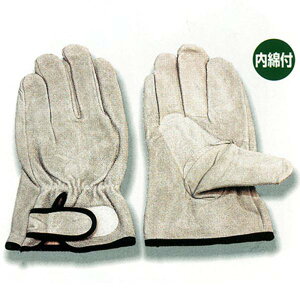 FUJITE 751 gRe}WbN   O[ui10oZbgj