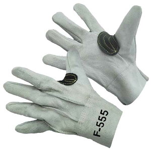 FUJITE 555iF-555jgRe  O[ui10oZbgj