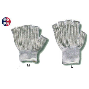 FUJITE 3650 J[TCh5{wo   R 120oZbg