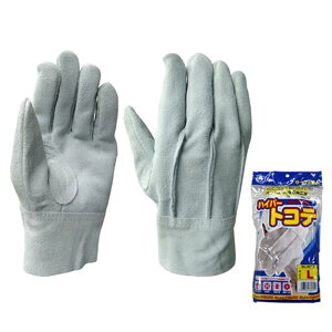 FUJITE 3813 nCp[gRewD  O[ui10oZbgj