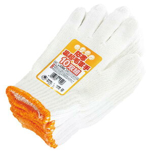 FUJITE 5300 �h�����N�ьR�� 10�o×10�Z�b�g