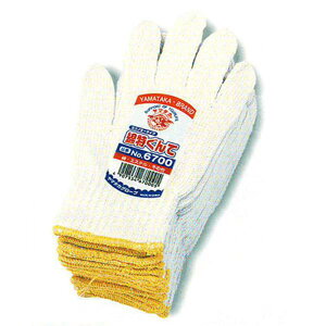 FUJITE 6700 }^Jȓāi10_[XZbgj