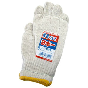 FUJITE 7800-C { ȓi10_[XZbgj