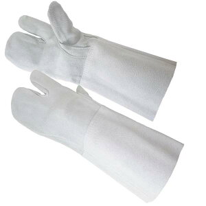 FUJITE 3013 nڗp 3{w   O[ui10oZbgj