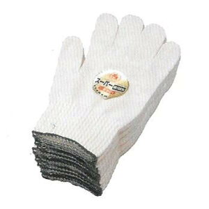 FUJITE 2301-HG X[p[HG  jqp R 10_[X