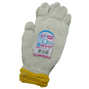 FUJITE 484-51 ȓ {Ri10_[XZbgj