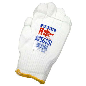 FUJITE 7950 a {iYjR 10_[X