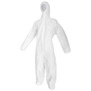 FUJITE 1880 �h���s�D�z �x�����[����×50���Z�b�g