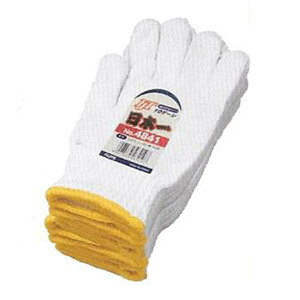 FUJITE 4841 FJT { R 10_[X