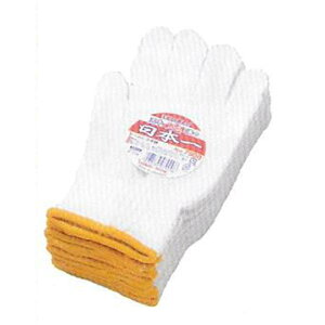 FUJITE 7900 V邫X{ R 10_[X