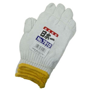 FUJITE T-7910 { R 10_[X