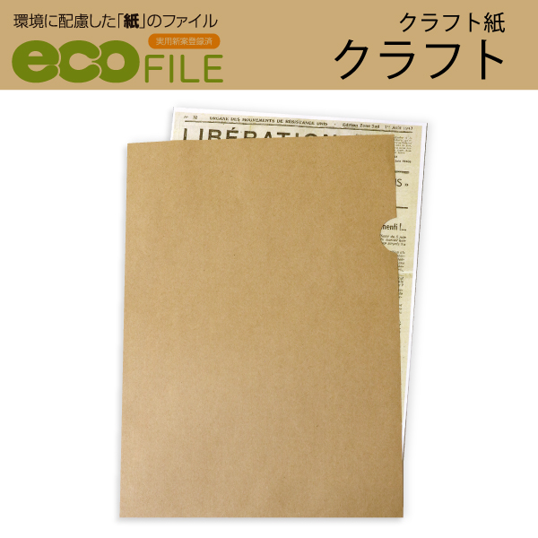 脱 プラスチック 環境に配慮した紙のファイル エコファイル 国内外の人気 【日本製】 クラフト紙 500枚入