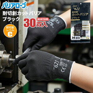 oA[u No.621 ϐؑnJbgoA ubN mR[g y30oz ؑn̗̂\hɁB|IȔŋГIȍƐւ21Q[W҂݂̑ϐؑn܁B ϐؑnxC@ϐؑn