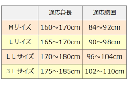 サイズ