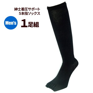 amT|[g5{w\bNX 1g No.801 jpyKTCY25cm`27cmz Ԃ̗dfXN[NԂɋyԕɂXXI C@\bNX@PAX ASIAN rev