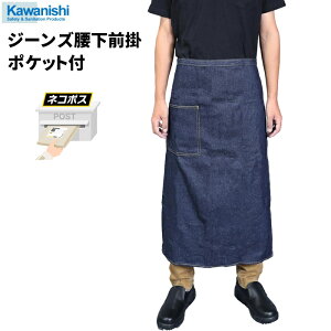 lR|Xzp KAWANISHI 655 W[YO|@ŏvIt@bV̍^CṽW[YO|@O|@Gv rev