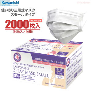 ̏߃TCYA\3w\tB^[̗pg}XN@KAWANISHI 7131 gOw}XN X[ y2000i50×40jz@߃TCY@قEԕEEC