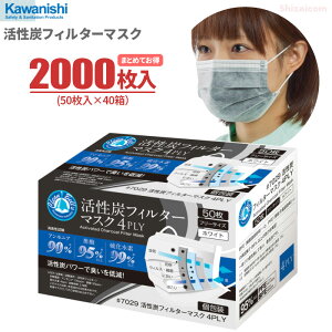 KAWANISHI No.7029 YtB^[}XN y2000i50×40jz Yp[ŏLጸI4w\̃tB^[ECX׋ہAԕAzRAjIC̐Nh܂B@g