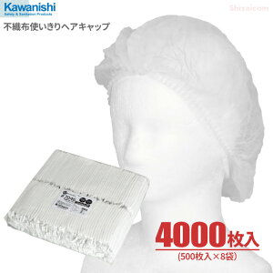 KAWANISHI 7046 sDzgwALbvyzCgzy4000i500×8܁jz vtFbVidlAȒPȎĝă^Cv̉qLbvłB qXq ĝăLbv