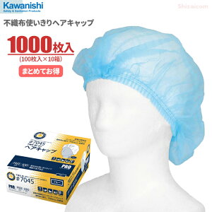 KAWANISHI No.7045 sDzg؂wALbv yu[zy1000i100×10jz@vtFbVidlAȒPȎĝă^Cv̉qLbvłB qXq ĝăL