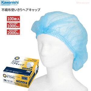 KAWANISHI No.7045 sDzgwALbv u[ 100 y1E10ZbgE20Zbgz@vtFbVidlAȒPȎĝă^Cv̉qLbvłB qXq ĝ