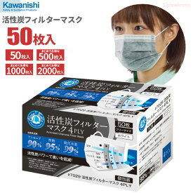 KAWANISHI No.7029 活性炭フィルターマスク 50枚入 【1箱・10箱～40箱セット】 活性炭パワーで臭いを低減！4層構造のフィルターがウイルスや細菌、花粉、ホコリ、ニオイの侵入を防ぎます。　使いきりマスク　使い捨てマスク　衛生マスク　個包装　感染予防 rev