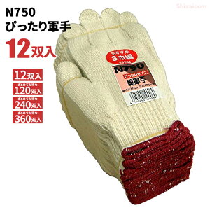 N750 ҂R y12oE120oE240oE360oz ł҂TCY̖ȌRłB @Ǝ܁@R rev