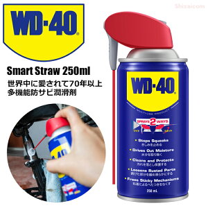 EɈ70NȏA@\hTr܁@WD-40 ZhK WD012 Smart Straw 250ml hTr܁@Tr@Tr~߁@hK@@Xv[ rev