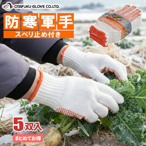 NѕtŃ|J|JhXx~ߌR@ӂ G-91 hXx~ߌR 5o y1܁E10܁E20܁E30܁E40܃Zbgz h܁@hR@hXx~ߌR@