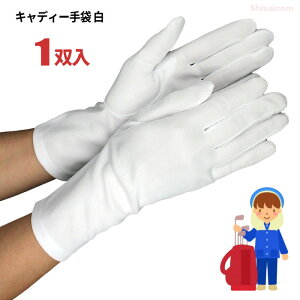 lR|Xzp Ȃ₩ȃiCgpLfB[Ɩp܂łB@LfB[p F y1oz@{@@܁@LfB[ rev