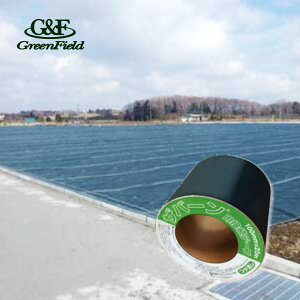 yŒZ͂z Uo[pڑe[v O[ ^Cv XT-GR1020N 100mm×20m 1 / ڑe[v hV[g Uo[ vebNX O[tB[h