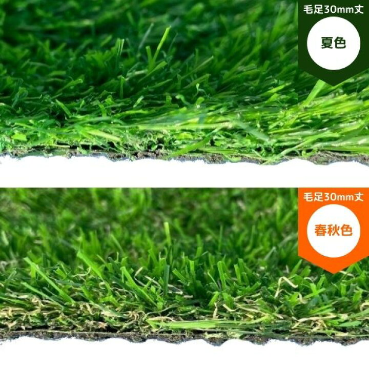 楽天市場】【最短翌日お届け】 人工芝 高密度 春秋色 1本 1m幅×10m巻 