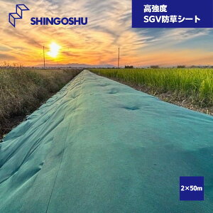 y[J[iz SGVhV[g 2m×50m V]B