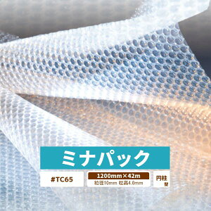y[J[iz GA[Lbv #TC65 / #TC65 / 1200mm×42m 1 a10mm 4mm 3w ~^  ɏՍ  pi GALbv GANbV fM  H h z   