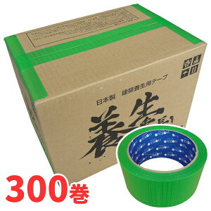 {e[v {Ԓs΁t (YT-301) 48mm×25m 10P[X(v300)m@ln