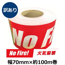 楽天市場 コーステープの通販