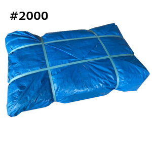 @l聄u[V[g#2000 A ^Cv 10m×10m 2 (K) W[ V[g W[ V[g o b ~ ЊQ 䕗 h { ΍ C Lv ^ sy Ԍ