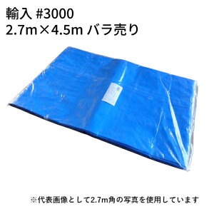 u[V[g#3000 A 2.7m×4.5m (7.5) o1 (T) b ~ ΍ C Lv sy Ԍ