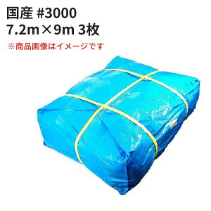 u[V[g #3000 Y 7.2m×9m 3Zbg(SK)@l聄 b ~ ΍ C Lv sy Ԍ