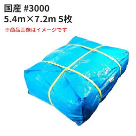 ブルーシート #3000 国産 5.4m×7.2m 5枚セット (SK) ＜法人宛限定＞｜ 敷物 対策 海水浴 キャンプ 行楽 花見