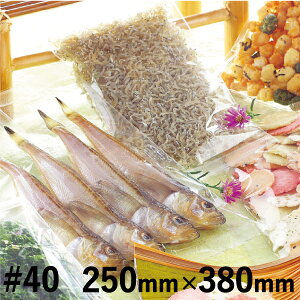 aYWP^Cv WP-454 250mm×c380mm@1P[X 2500