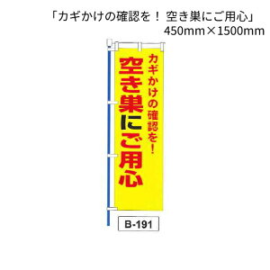 �̂ڂ� �� �u�J�M�����̊m�F���I �󂫑��ɂ��p�S�v 1�� (B-191)