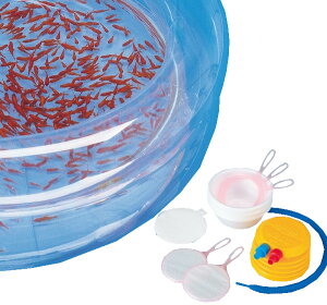 Zbgi350C{XyA50CjboXEEqǂɂ߂̉ԁI