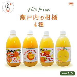 XIWiI˓̊kW[X ݔ׃Zbg@500ml×12{@ʏ` Y Mtg v[g ̓ ̓ 䒆 Ε j hV̓
